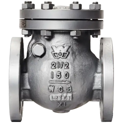 check valve