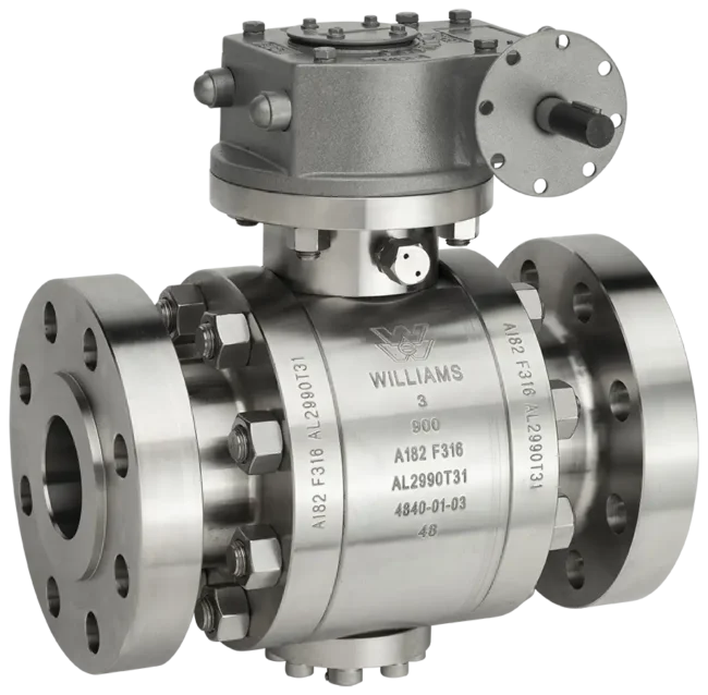 Trunion Valve