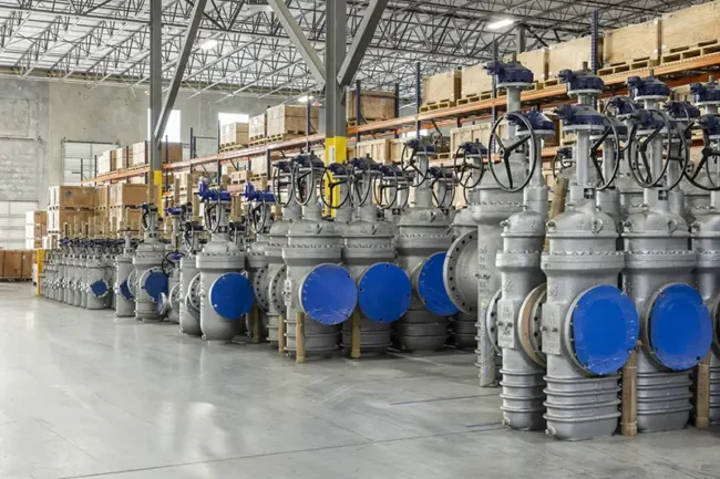 Williams Valve
